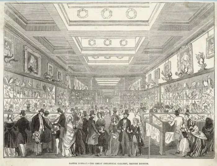 Framed Print : Brit Museum Zoo Gallery Framed Print : Brit Museum Zoo Gallery
