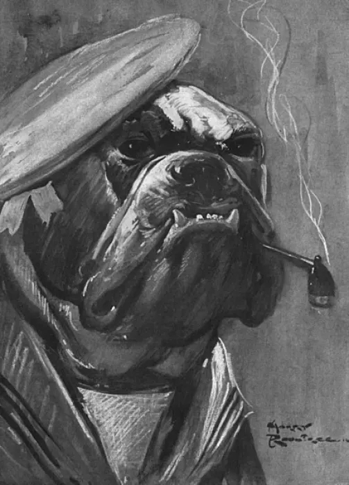 Framed Print : British bulldog, WW1 Framed Print : British bulldog, WW1