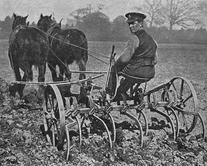Framed Print : British soldier working on the land, WW1 Framed Print : British soldier working on the land, WW1
