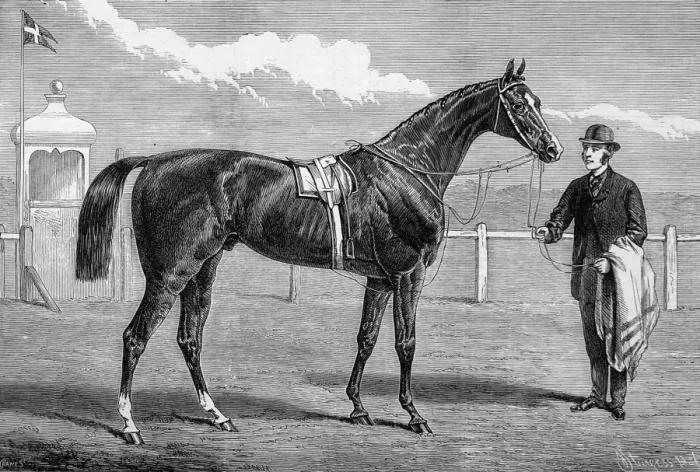 Framed Print : Camballo, Winner of the Two Thousand Guineas Stakes Framed Print : Camballo, Winner of the Two Thousand Guineas Stakes