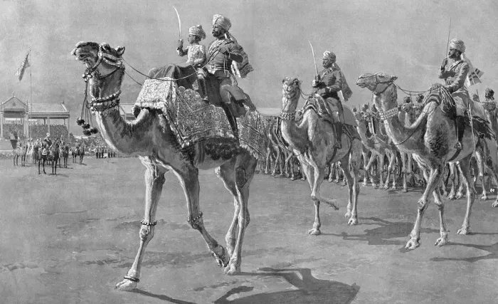 Framed Print : Camel corps at Delhi Durbar, 1912 Framed Print : Camel corps at Delhi Durbar, 1912
