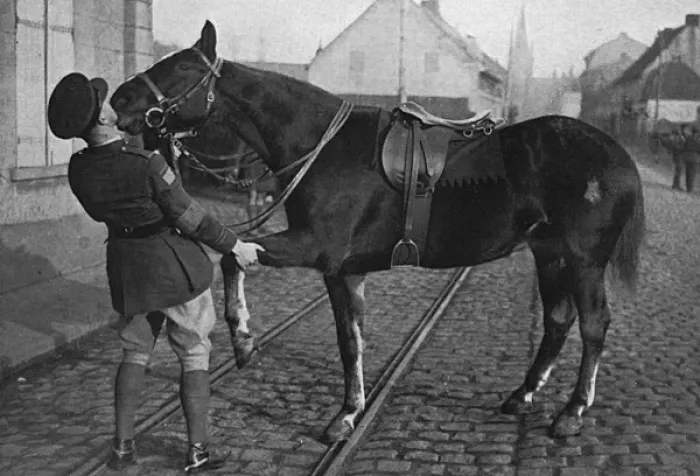 Framed Print : A Canadian staff officer saying goodbye to his horse Framed Print : A Canadian staff officer saying goodbye to his horse
