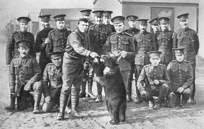 Framed Print : Canadians in camp at Salisbury Plain with bear mascot Framed Print : Canadians in camp at Salisbury Plain with bear mascot