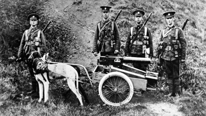 Framed Print : Captain H. Furber, of the 3rd Batt. Welsh Regiment, experiment in dog traction for machine guns