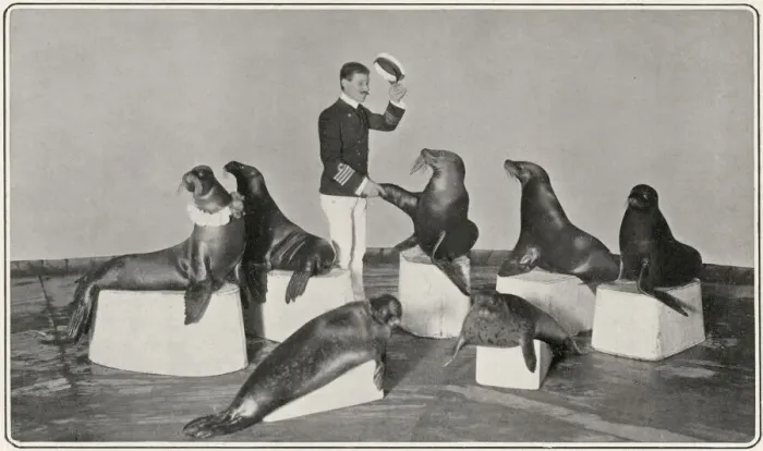 Framed Print : Captain Woodward & his seals at the London Hippodrome Framed Print : Captain Woodward & his seals at the London Hippodrome
