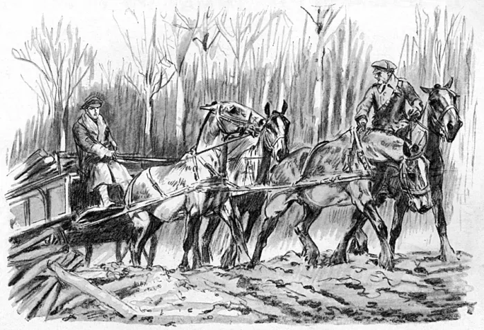 Framed Print : Carting timber on the Western Front, WW1 Framed Print : Carting timber on the Western Front, WW1