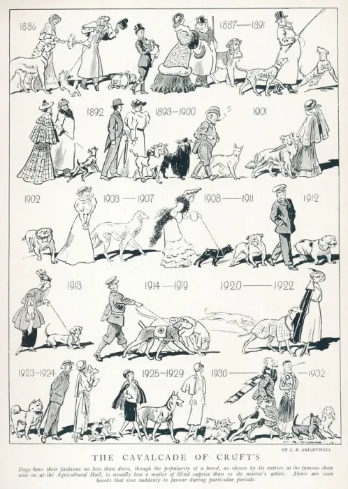 Framed Print : The Cavalcade of Crufts Framed Print : The Cavalcade of Crufts