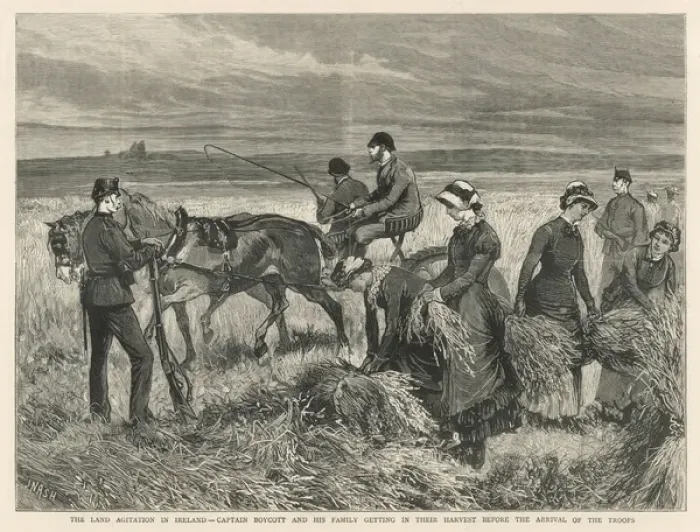 Framed Print : Cc Boycott  /  Graphic 1880