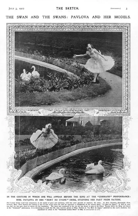Framed Print : Command Death Swan Dance Dancing Dances Dancer