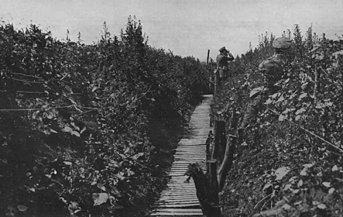 Framed Print : A communication trench in bloom, WW1 Framed Print : A communication trench in bloom, WW1