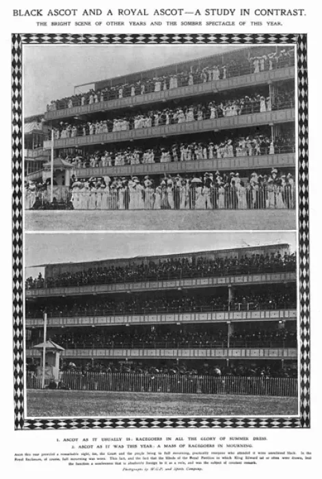 Framed Print : Comparison of Ascot Framed Print : Comparison of Ascot