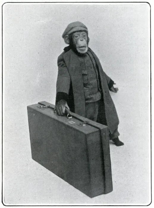 Framed Print : Consul the Chimp at the London Hippodrome