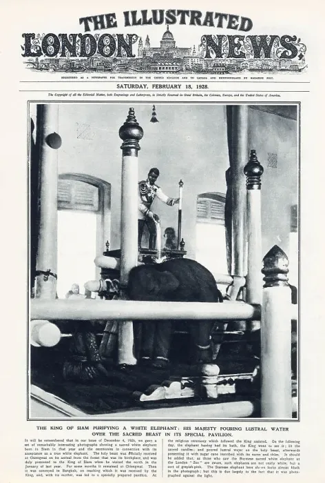 Framed Print : Front cover of The Illustrated London News showing the King of Siam purifying a white elephant. His Majesty is shown pouring lustral water over the sacred beast in its special pavilion. Date: 1928 Framed Print : Front cover of The Illustrated London News showing the King of Siam purifying a white elephant. His Majesty is shown pouring lustral water over the sacred beast in its special pavilion. Date: 1928
