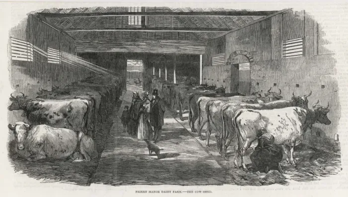Framed Print : COWSHED, 1853 Framed Print : COWSHED, 1853