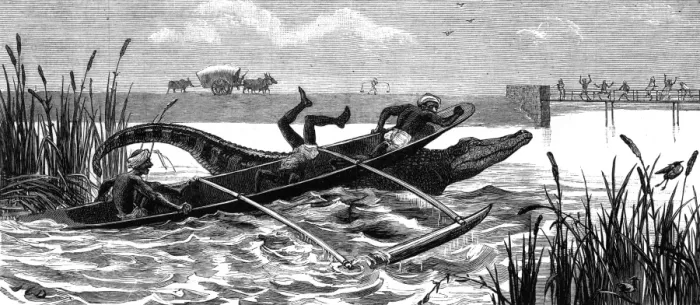 Framed Print : Crocodile hunting, 1881 Framed Print : Crocodile hunting, 1881