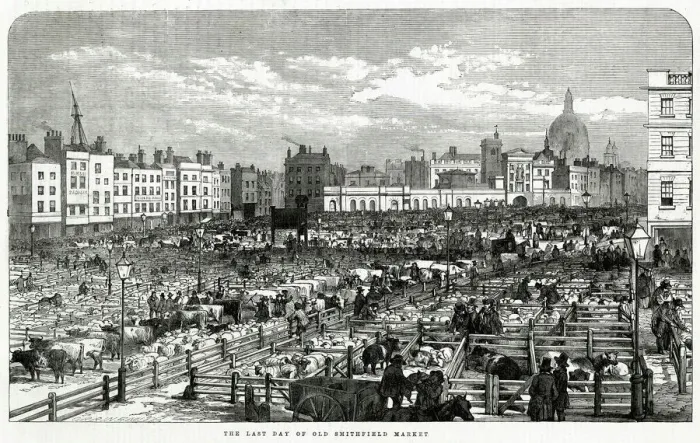 Framed Print : The Last Day of the Old Smithfield Market, London 1855 Framed Print : The Last Day of the Old Smithfield Market, London 1855