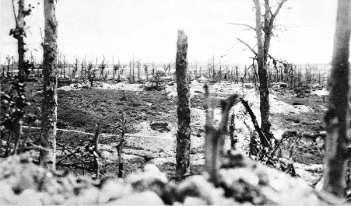 Framed Print : The destroyed wood of Thiepval, France Framed Print : The destroyed wood of Thiepval, France