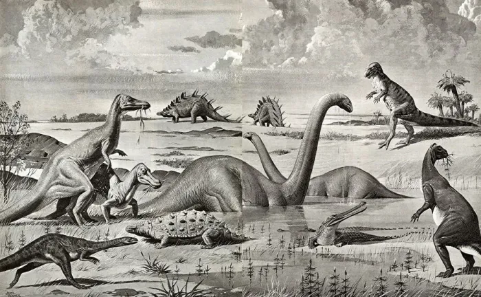 Framed Print : Dinosaurs of the Mesozoic Era - China Framed Print : Dinosaurs of the Mesozoic Era - China