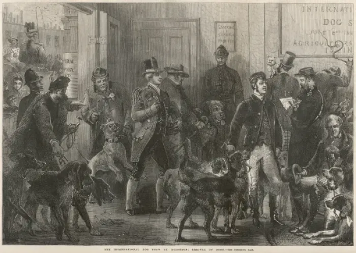 Framed Print : Dog Show in 1865