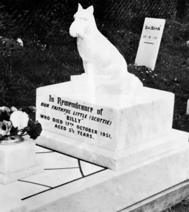 Framed Print : Dog gravestone Framed Print : Dog gravestone