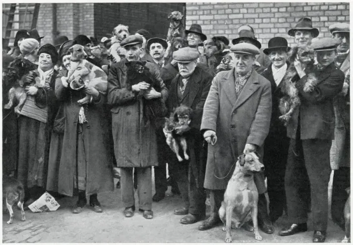 Framed Print : Dog owners given free licences Framed Print : Dog owners given free licences