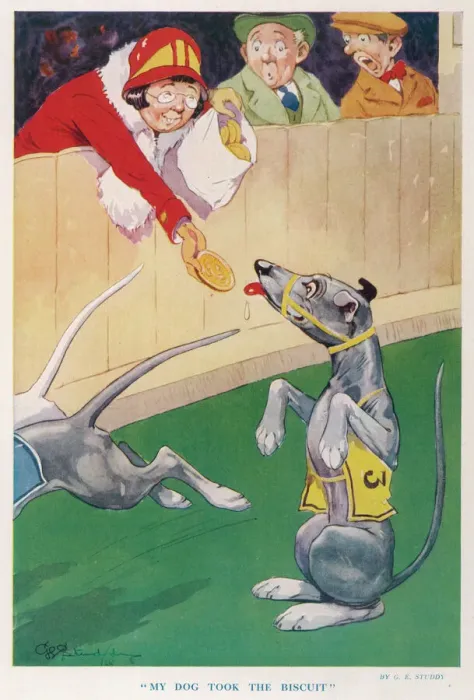 Framed Print : My Dog Took the Biscuit by G. E. Studdy Framed Print : My Dog Took the Biscuit by G. E. Studdy