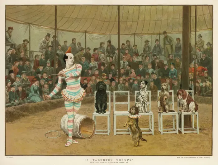 Framed Print : Dogs and Circus Clown Framed Print : Dogs and Circus Clown