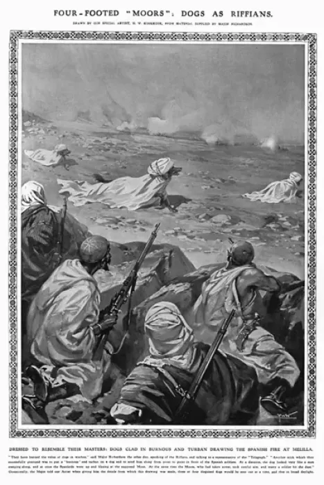 Framed Print : Dogs as Riffians during Melillan Campaign Framed Print : Dogs as Riffians during Melillan Campaign