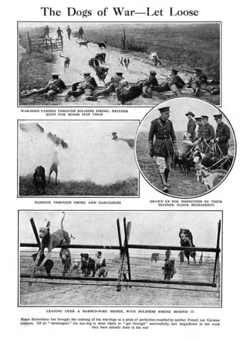 Framed Print : The Dogs of War - Let Loose Framed Print : The Dogs of War - Let Loose