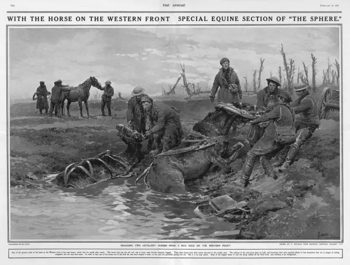 Framed Print : Dragging two artillery horses on Western Front by Matania Framed Print : Dragging two artillery horses on Western Front by Matania