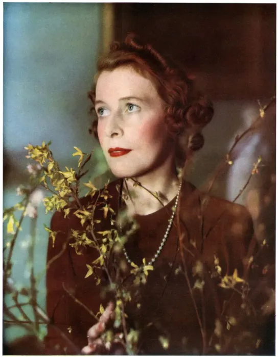 Framed Print : The Duchess of Richmond and Gordon