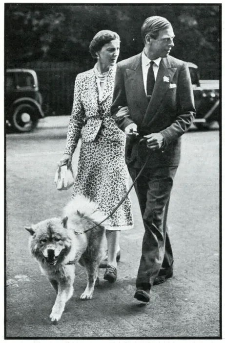 Framed Print : Duke and Duchess of Kent walking their chow dog, Sept 1939