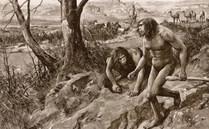 Framed Print : Earliest man tracked by tooth, discovery in Pliocene strata Framed Print : Earliest man tracked by tooth, discovery in Pliocene strata
