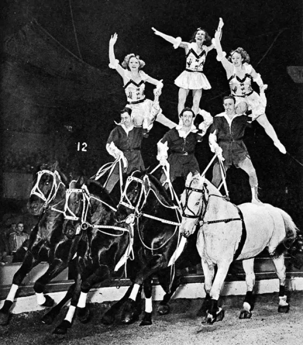 Framed Print : Equestrian Acrobats at the Circus, 1948 Framed Print : Equestrian Acrobats at the Circus, 1948