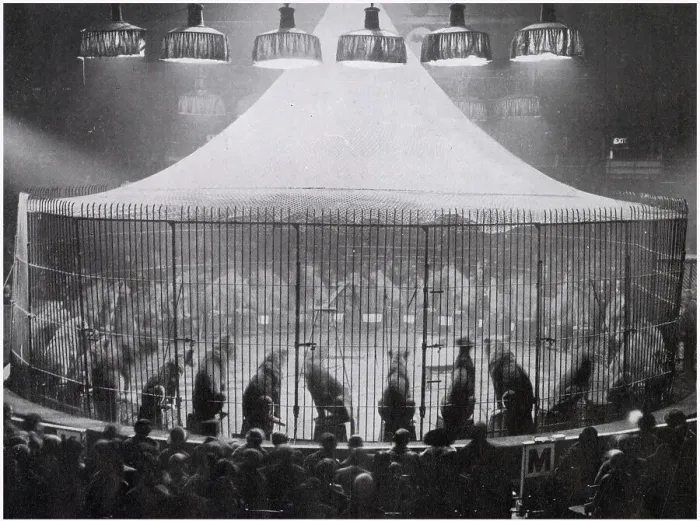 Framed Print : Exhibition at the Olympia Circus, with forty-five lions seated in a steel cage, with their trainer Captain Alfred. Date: 1926 Framed Print : Exhibition at the Olympia Circus, with forty-five lions seated in a steel cage, with their trainer Captain Alfred. Date: 1926