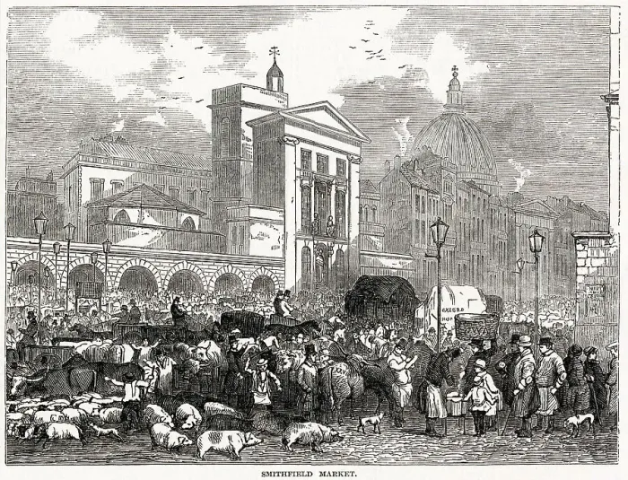 Framed Print : Exterior view of Smithfield Meat Market in London. In this busy street scene one can see sheep, pigs and cattle, on their way for sale. Date: 1848 Framed Print : Exterior view of Smithfield Meat Market in London. In this busy street scene one can see sheep, pigs and cattle, on their way for sale. Date: 1848