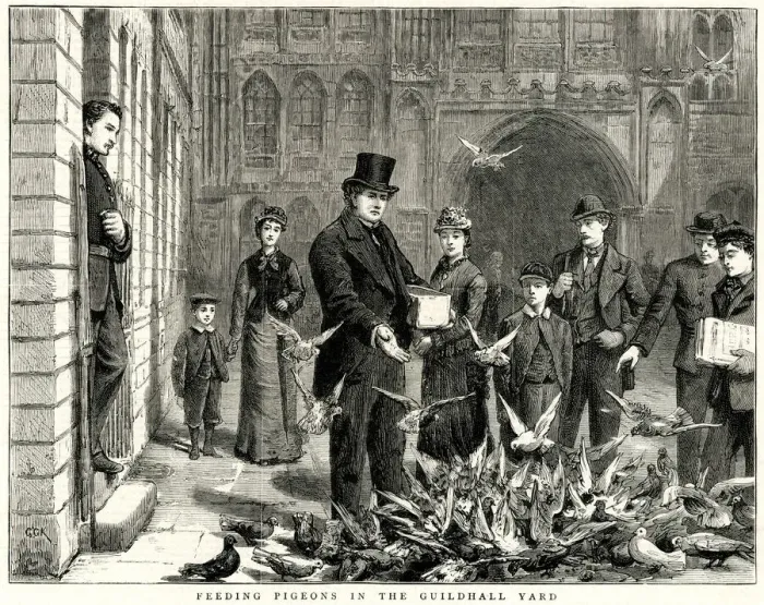 Framed Print : Feeding pigeons in the Guildhall Yard, City of London 1877