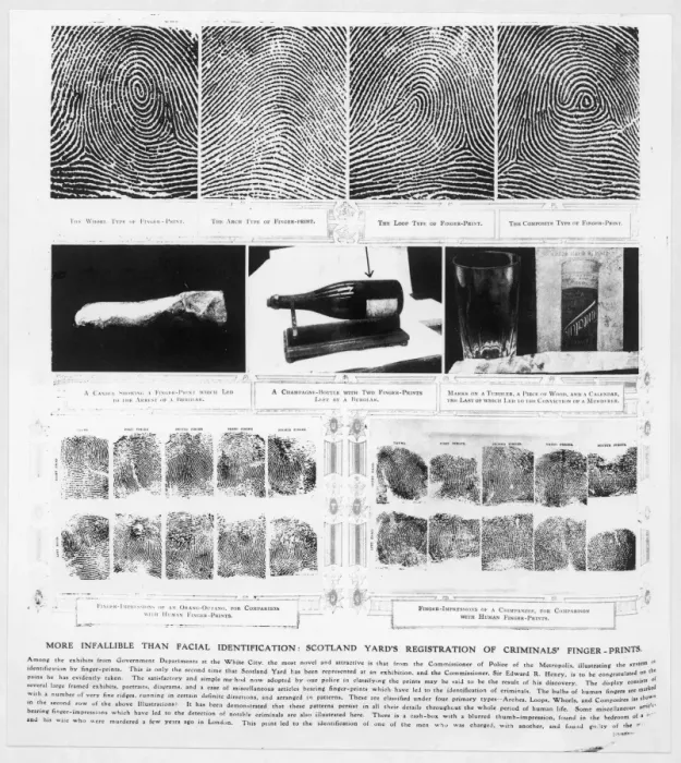 Framed Print : Fingerprinting