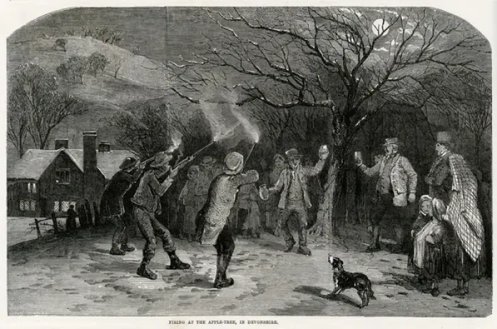 Framed Print : Firing at the apple-tree in Devonshire