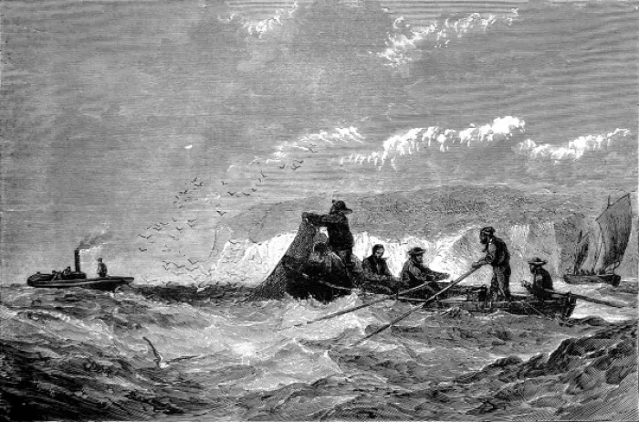 Framed Print : Fishing for Pilchards, 1871