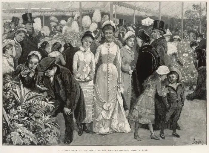 Framed Print : Flower show 1880