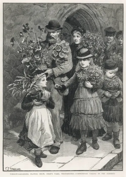 Framed Print : Flower show