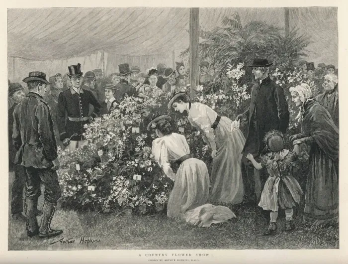 Framed Print : Flower Show