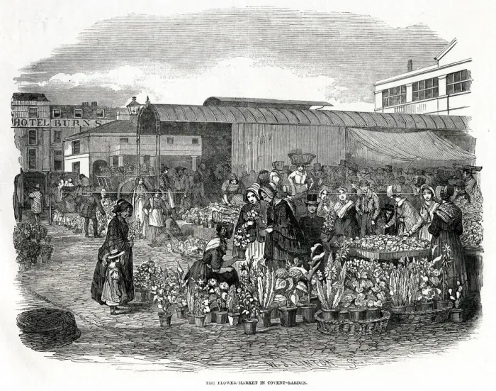 Framed Print : Flower Market in Covent Garden, London 1848 Framed Print : Flower Market in Covent Garden, London 1848