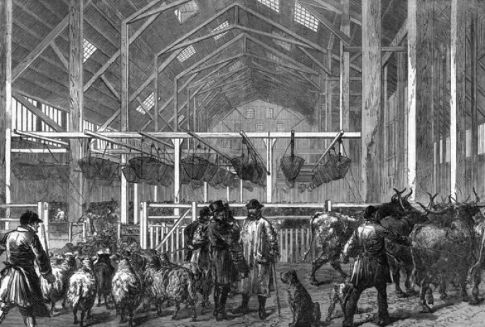 Framed Print : The Foreign Cattle Market, Deptford, London, 1872