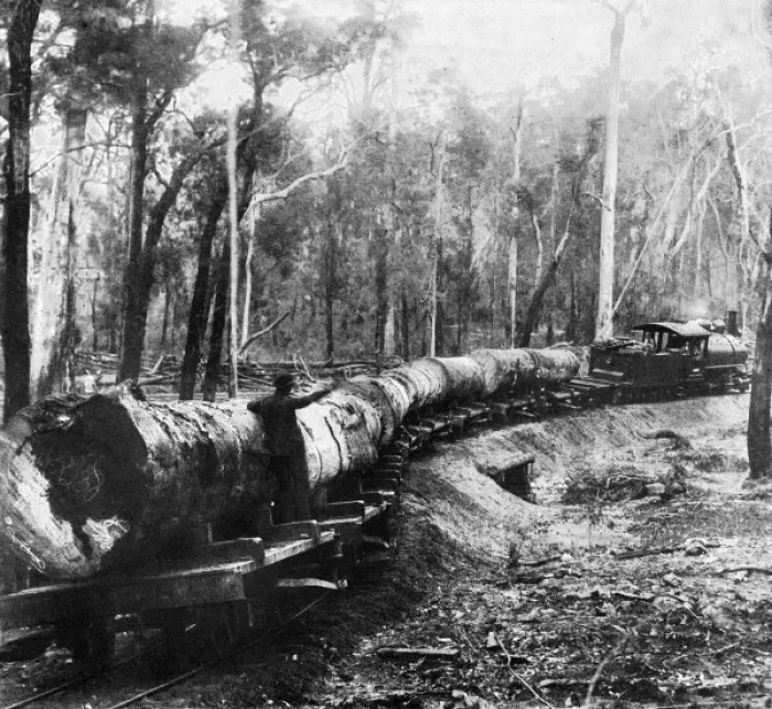 Framed Print : Forest railway, Western Australia Framed Print : Forest railway, Western Australia