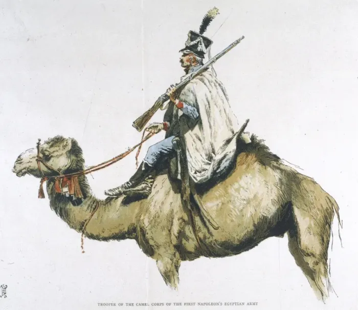 Framed Print : French Camel Corps 1798