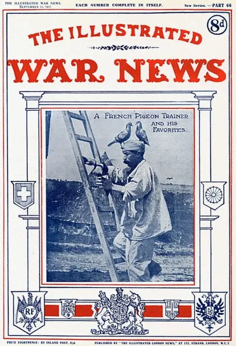 Framed Print : French Pigeon Trainer, Illustrated War News, WW1