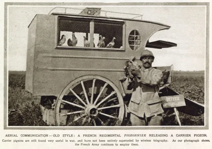 Framed Print : French regimental pigeonnier releasing a carrier pigeon Framed Print : French regimental pigeonnier releasing a carrier pigeon