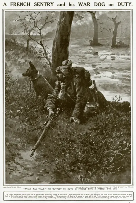 Framed Print : A French Sentry and his War Dog on Duty Framed Print : A French Sentry and his War Dog on Duty